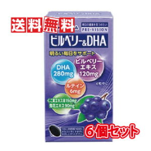 【送料無料】湧永製薬 プレビジョン ビルベリー&DHA 120粒 6箱セット(ディーエイチエー 120錠)