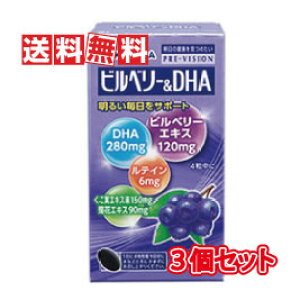 【送料無料(沖縄県を除く)】湧永製薬 プレビジョン ビルベリー&DHA 120粒 3個セット(ディーエイチエー 120錠)
