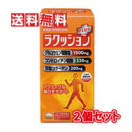 【送料無料(沖縄県を除く)】湧永製薬 プレビジョン ラクッションプラス 270粒(ラクッションPLUS 270錠) 2…