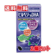 【送料無料(沖縄県を除く)】湧永製薬 プレビジョン ビルベリー&DHA 120粒 2個セット(ディーエイチエー 12…