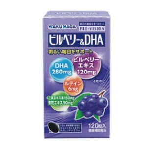 【3980円以上で送料無料】湧永製薬 プレビジョン ビルベリー&DHA 120粒(ディーエイチエー 120錠)