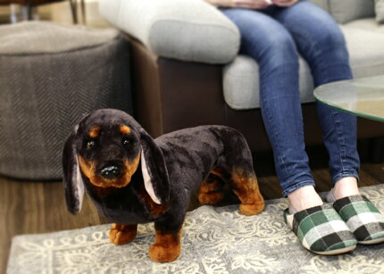 楽天市場 座れる犬 耐荷重80kg ダックスフンド アニマルスツール 犬 動物スツール スツール チェア 椅子 座れる ぬいぐるみ かわいい 子供 誕生日 ギフト プレゼント クリスマス クリスマスプレゼント 出産祝い 新築祝い お祝い 乗れる 家具 インテリア雑貨のアラモード