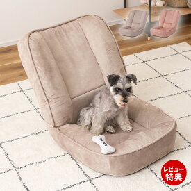 【豪華特典2個付き】フロアチェア リクライニングチェア 座椅子 耐摩耗性 防水 ペット対応 韓国 インテリア 北欧風 シンプル ナチュラル 一人用 おしゃれ くすみカラー ニュアンスカラー ライトピンク ベージュ クッション 6段階 東谷