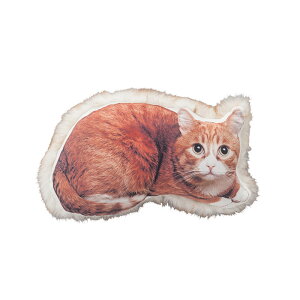 yXTtzNbV  k Aj} ӂӂ {A s[  CeA CUSHION t@ubN lR L ˂  ETM VN}  낭 T IIJ~ X 