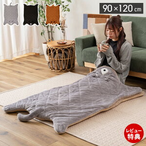 yXTtzThNbV Aj}  Ђ| uPbg l 90×120 tl {A JCC ObY  g ӂӂ Lbg xA tHbNX 