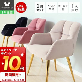 [スーパーSALE割引＆エントリーでP10倍]【1年保証＆当店限定特典付】ダイニングチェア 2脚セット おしゃれ デスクチェア キャスター無し 疲れない 疲れにくい 北欧 キャスターなし 肘付き ベロア調 チェア ピンク ベージュ ブラック 椅子 ネージュ フレンチ