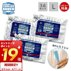 [6/11 1:59までエントリーでP19倍]【当店限定特典付き】COOLER SHOCK クーラーショック 保冷剤 L 3個セット ソフト 強力 保冷パック ジェル 薄型 氷点下 高機能 医療技術 長時間 長持ち アウトドア キャンプ 災害 停電 レジャー 最強 防災グッズ クーラーボックス アメリカ