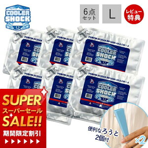 [X[p[SALE]erŏЉ! yXTtzCOOLER SHOCK N[[VbN ۗ L 6Zbg \tg  ۗpbN WF ^ X_ @\ ËZp   AEghA