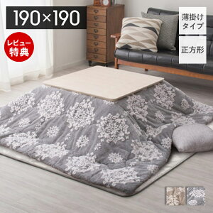 yXTtzzc ` ȃXy[X | R^czc Jo[ 190×190  唻 킢  ᕿ Ⴢ`[t tl 킽 |zc |zc n 