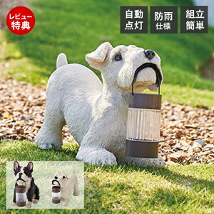 yXTtz\[[I[ig LED Ɩ z \[[ [d  _  h GgX  킢  K[fjO DOG O u^ hJ h ZT[  g