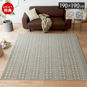 �y���ؓ��T2�t���z���O ���O�}�b�g ���{�� �J�[�y�b�g 190×190 �����` ����~�� �}�b�g ���g�[ �z�b�g�J�[�y�b�g�Ή� ���^����z HOT&COOL �V���v�� ������� �ۉ� �ۗ� �x�[�W�� �l�C�r�[ �p