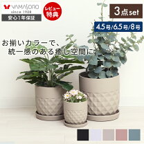 楽天市場】鉢カバー 8号の通販