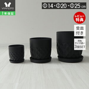 y1Nۏ&XTtzAؔ t[|bg ϗtA O[ 4 5 6 7 8 CeA  v^[ Mt M Z~bN  O  Jo[ 3Zbg 25cm 20cm