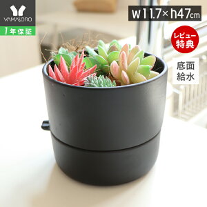 y1Nۏ&XTtz㕔Aؔ O[ ϗtA t[|bg  v^[   RpNg CeA A T{e   sN zCg u