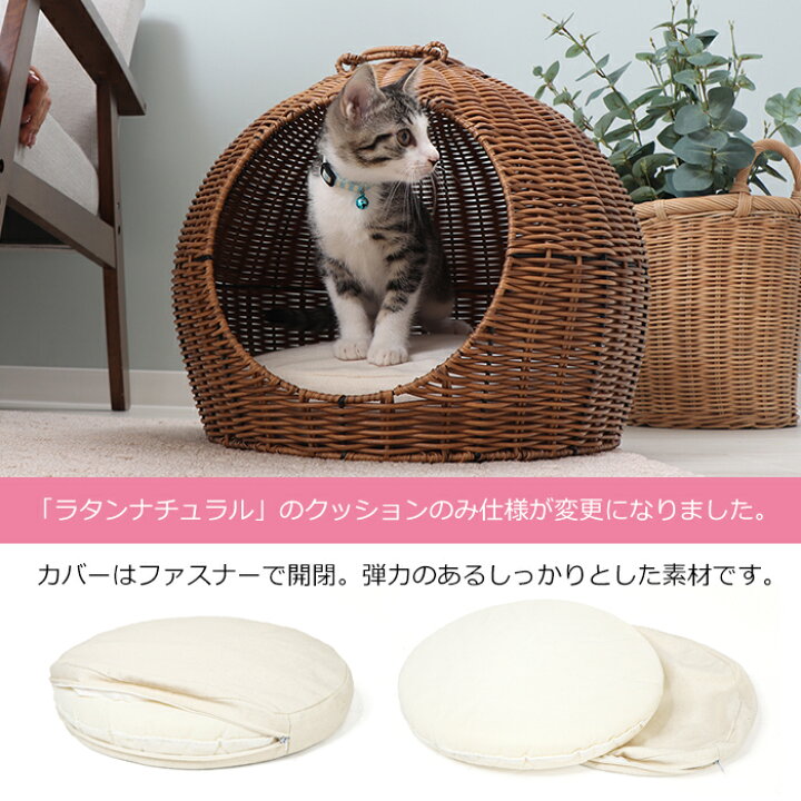 楽天市場】[最大150円クーポン配布中]【1年保証&当店限定特典付 