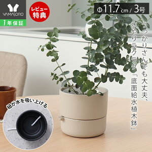 [X[p[SALE]y1Nۏ&XTtz㕔Aؔ O[ ϗtA t[|bg  v^[   RpNg CeA A T{e   s