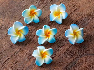 JttWpj6Zbg SSTCY CeAEu AWA o G    CeAG ][g AWAG fBXvC eE yc-frangipani-sszm