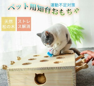 L Lpi ybgpm炨 XgX ؐ V 8 O@ _CGbg ؔ S  ^s XgX  DS L̂