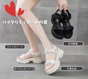 X|[cT_  fB[X {v T_ T_ ꂢ ؂₩ y RtH[ r[`T_ I[vgD XgbvT_ C C xN X|[c X|T 