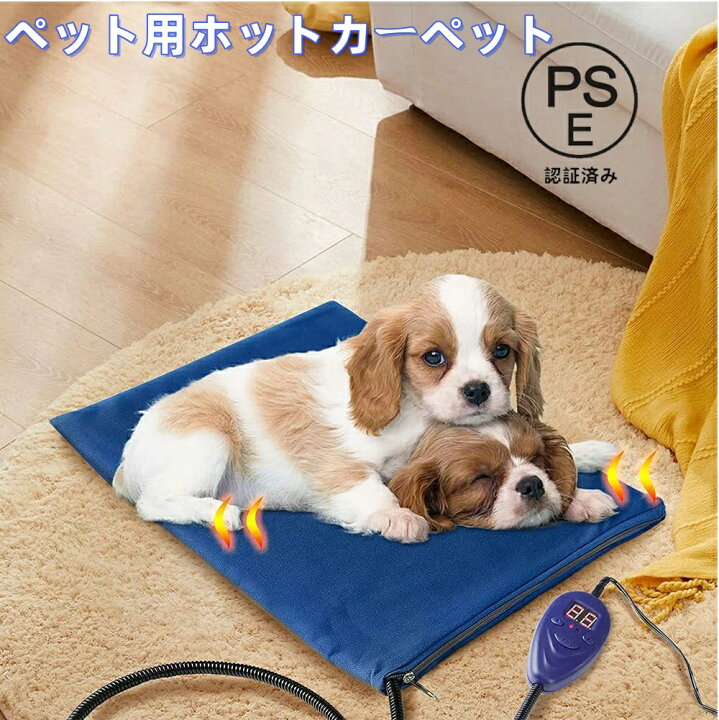 楽天市場】美品登場☆ペット用ホットカー 猫 ヒーター 犬ヒーター 