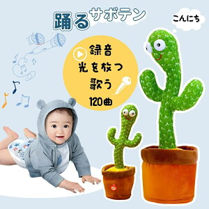 xT{e x ̂ T{e  _XT{e hT{e dq ʔ 킢 ʂ ΂ FB v[g q p̉̕t  ΂  xT{e 