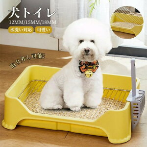  gC pgC ؃bggC g[jOpi IX юU g[ ֗ ybggC ybg h~ p  юUh~