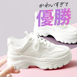  Xj[J[ fB[X Xj[J[ EH[LO V[Y C ꂢ   ₷ y _bhXj[J[  Cq[Xj[J[ ʊw ؍ C _CGbgXj