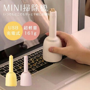 ミニ掃除機 小型掃除機 ハンディクリーナー コードレス ハンディ 掃除機 コードレス掃除機 USB充電 毛玉取り 小さい 掃除機 ミニクリーナー 卓上クリーナー かわいい ハンディ おしゃれ スリ