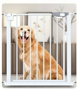 xr[Q[g Ki ˂ Ki Lb` Ki Ԃ  Ch xr[K[h xr[tFX ybgtFX ybgQ[g   ԂK[h