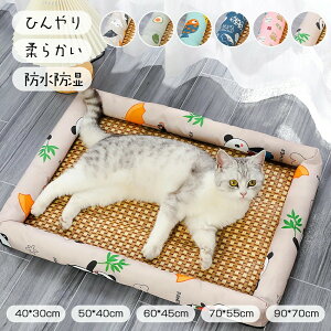 ybgxbh ėp ЂV[g Q ybg}bg Lp ΍ Qxbh ybgNbV  pV[g Q SU Lxbh ^/^p Lp 薰 v 