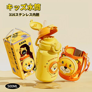 ͐ELbY 500ML q 316XeX_ 킢 qǂ  x\ Xg[  LbY ۉ ۗ ߂ 2way Xg[ LbY |[`t LbY