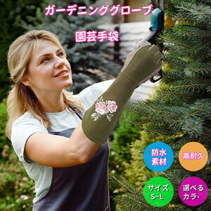 ͐E K[fO[u K[fjOO[u | oO[u o o KN K[fjO |  ԕ@ hJ gQ  O^Cv _ A  ϖՑσXN