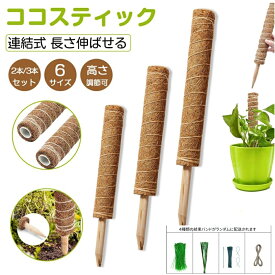 【天然 植物サポート 2本/ 3本セット】 モンステラ 支柱 ココスティック 観葉植物 支柱 園芸支柱 植物 ガーデニング用 花ささえ ココナッツ支柱 植物サポート つる性植物 トマト ポトス 支柱 園芸用 園芸支柱パーツ 高さ調整可 ココナッツ モンステラ支柱 植物成長 おしゃれ