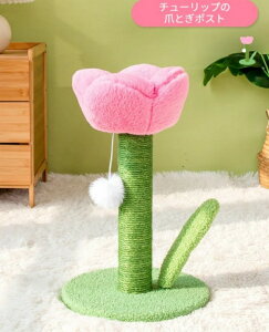 Lbg^[ ܌ `[bv܌|[  L͂ݔ Ȃ 킢 ins L̂ Lpi