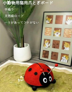 y\t@یpzL܂Ƃ  ϖ ݌v egEV~co`fUC L̂t Ƌ̈~h~ SSf