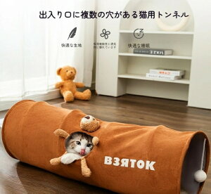 Lpgl ܂肽݉\ [ȒP XgXlVсifbNXTCYj