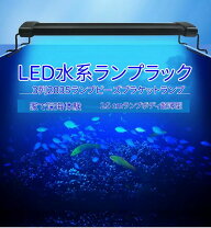 楽天市場】海水魚ライト120の通販