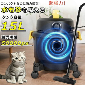 y2025VozƖp|@ |@ pbN p 50000PA T[N[i[ J[ybgN[i[ ybg nfBN[i[ ͋z e15L nfB|@ CX|@ 