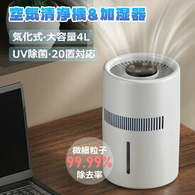 加湿器 卓上 超音波 4L 大容量 最大20畳対応 気化式 usb 4重除菌 加湿機 自動湿度調整 2段階風量設定 空気清浄機 花粉 除菌 おしゃれ 上から給水 空焚き防止 水漏れ防止 静音 保湿 車載 USB給電式 ミニ 乾燥/花粉症対策 寝室 家庭 子供部屋 お手入れ簡単 オフィス 2025
