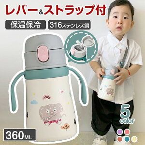 2way  360ml nht Xgbvt  Xg[ LbY{g 2way q @r ݌ 蕨 LbY ǂ | ۉۗ {g qp @r ۉ e y a M