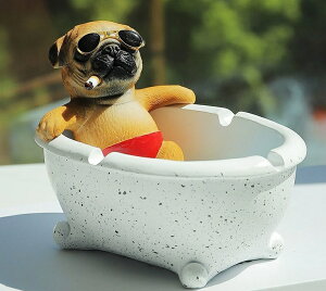 ^ DM Ck [@ pOG L[P[X@u PUG