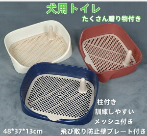 pgC юUh~ǃv[gt P₷ t g[ bVg[ g[jOgC ybggC