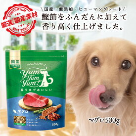 【食欲がない子におすすめ】 愛犬が喜ぶ！ヤムヤムヤム マグロ ドッグフード 500g 犬 ドッグフード シニア ドッグフード 無添加 国産 小粒 総合栄養食 yamyamyam グリーンドッグ 小型犬 成犬 老犬 シニア犬 涙やけ 食欲不振 食いつき ドライフード