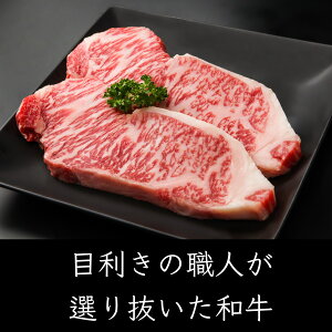 yA5јazT[C Xe[L 600gi200g×3j&WF[g6  Ε j a p Mtg j v[g  ō  ~ ґ Y  