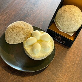 静岡マスクメロン ！至福の玉手箱シャーベット 送料無料 アイスクリーム シャーベット ギフト アイス ソルベ 贈り物 誕生日 記念日 パーティ　卒業祝い 就職祝い 入学祝い ジェラード