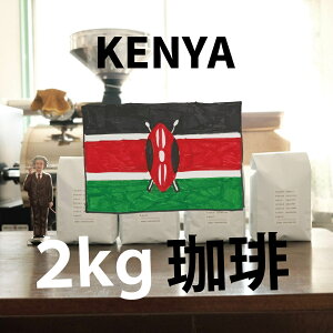 yPjA Ɩp 2kgz  XyVeBR[q[  hbv Xg[g uh ubN   Coffee  VOIW R[q[ 