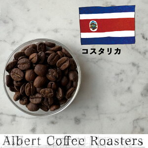 y RX^J Costa Rica z/ 3,980~ȏ  XyVeBR[q[  hbv Xg[g uh ubN   Coffee  VOIW R[q[  ACXR[q