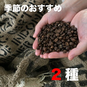 yG߂̂߁zA\[gZbg 100g×2Zbg 200g R[q[ [ @XyVeB R[q[  hbv Xg[g uh   Ao[gR[q[[X^[Y 