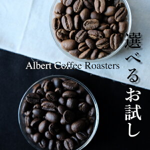 y  Iׂ邨 z160gi80g×2j /  ߂ XyVeB R[q[ hbv Xg[g uh ubN    R[q[ Ao[gR[q[[X