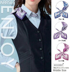 yz  {XJ[t EAZ882 J[V[JV} z[N[jO 􂦂  N[g q lC J[ 